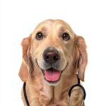 Dutton Occupational Therapy Kindle Store 4.99-0